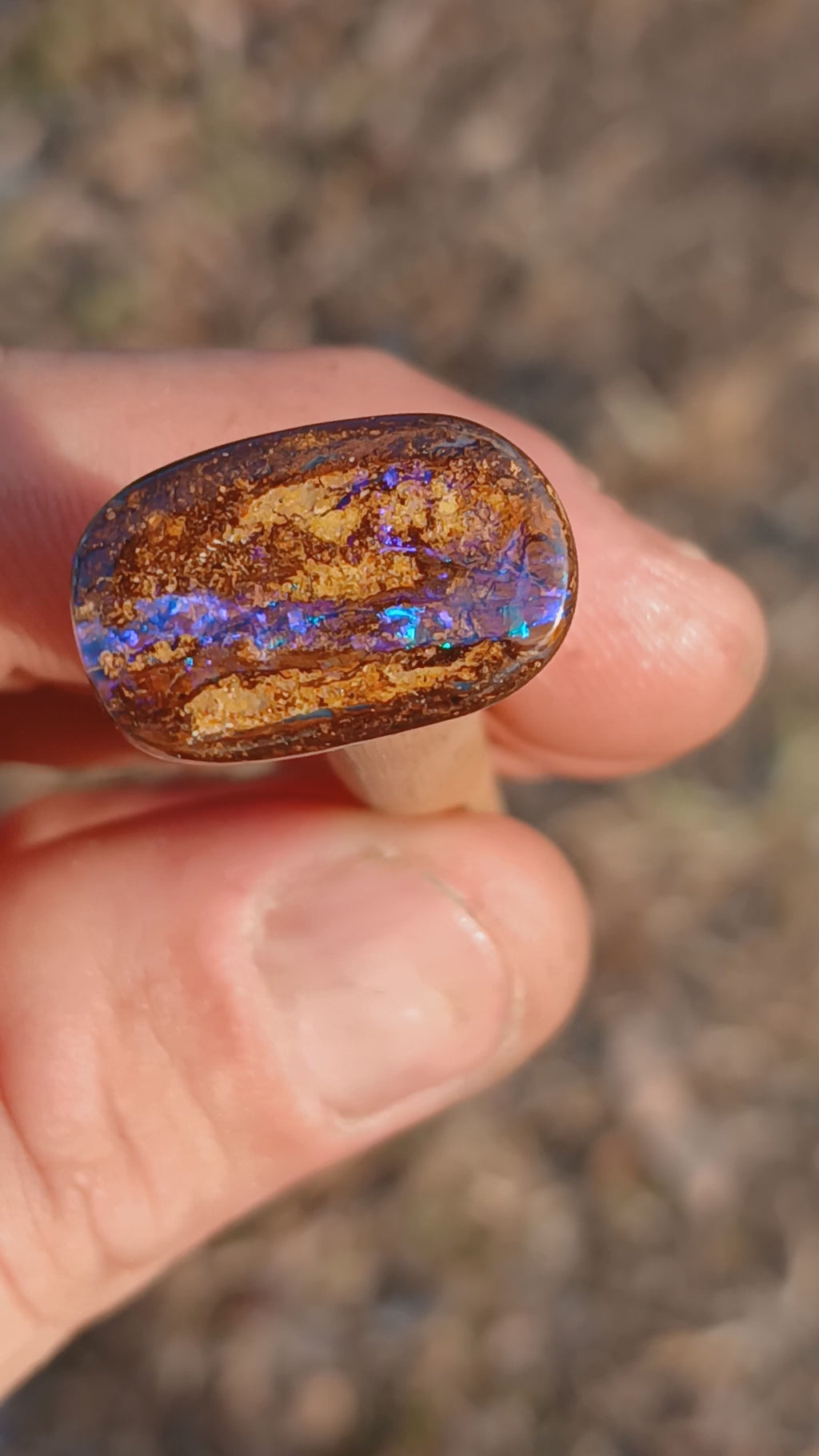 Boulder opal  #1